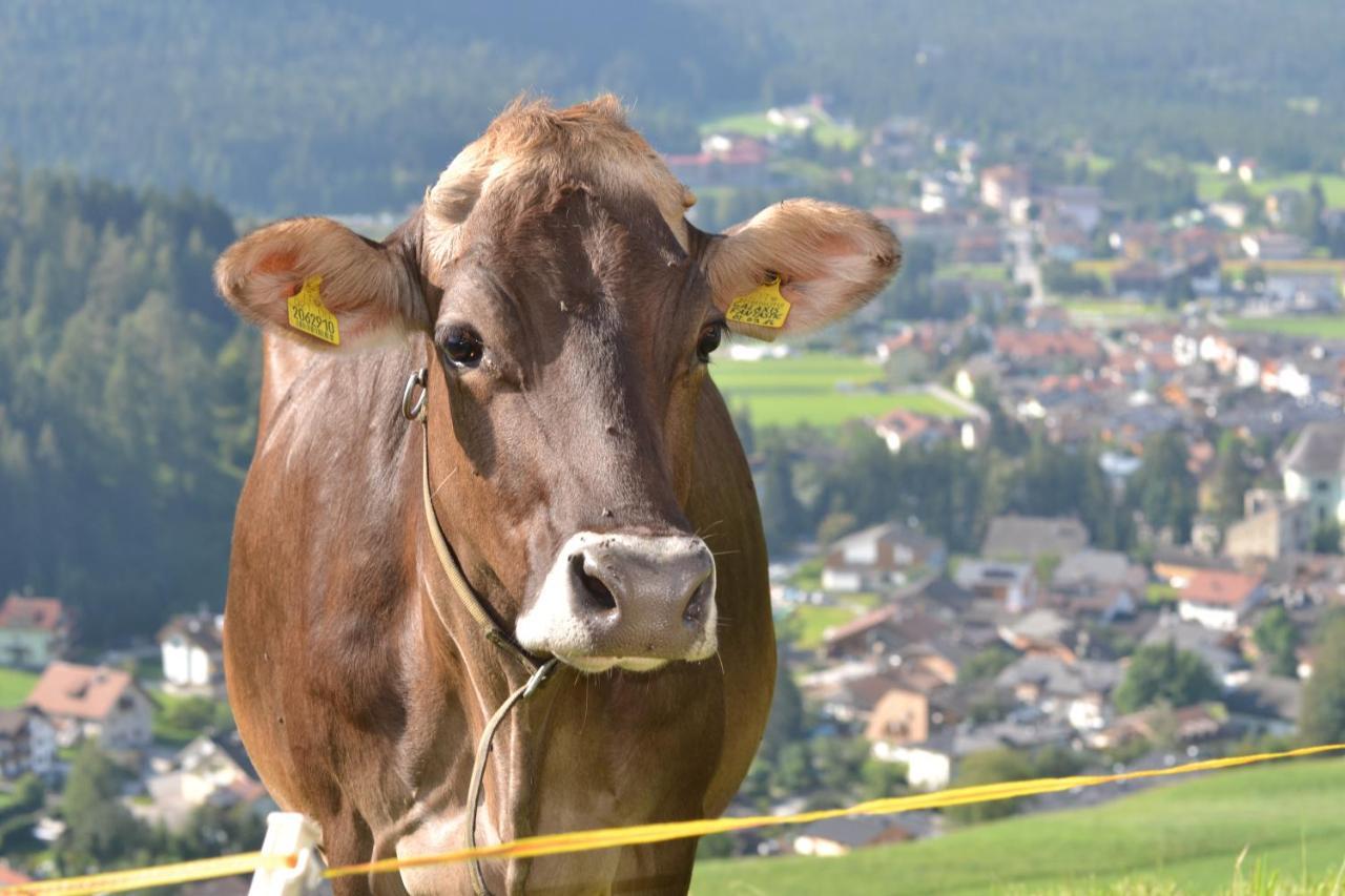 Apartmán Gostnerhof Toblach Exteriér fotografie