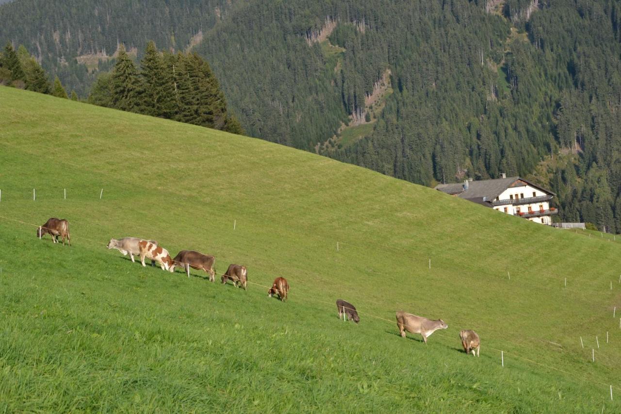 Apartmán Gostnerhof Toblach Exteriér fotografie